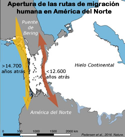 Migración por la Costa del Pacífico